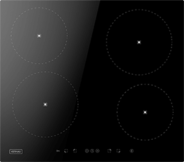 Induktionsfeld Reparatur Eberswalde